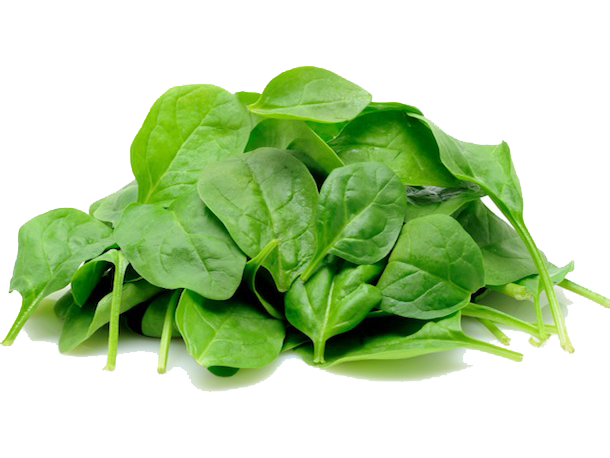 Baby Spinach
