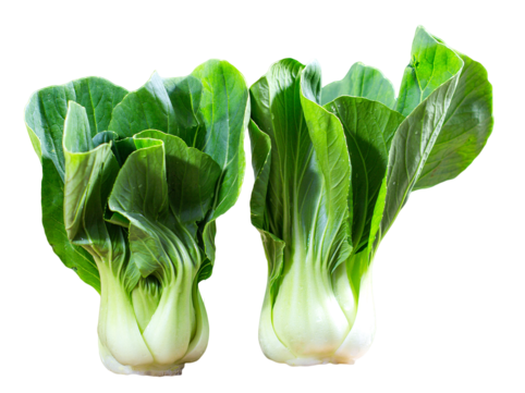 Shanghai Green Cabbage