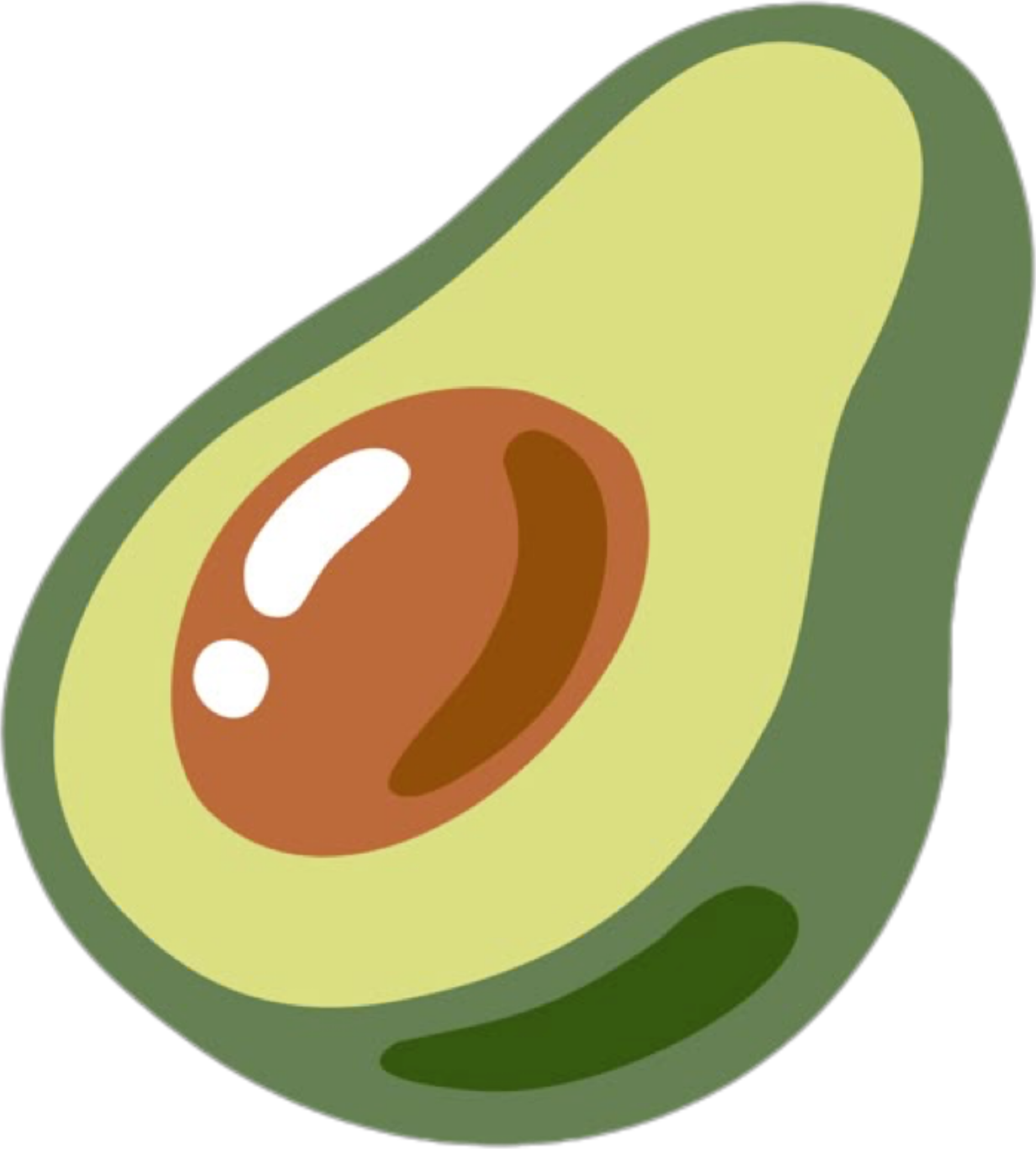Avocado Day 1