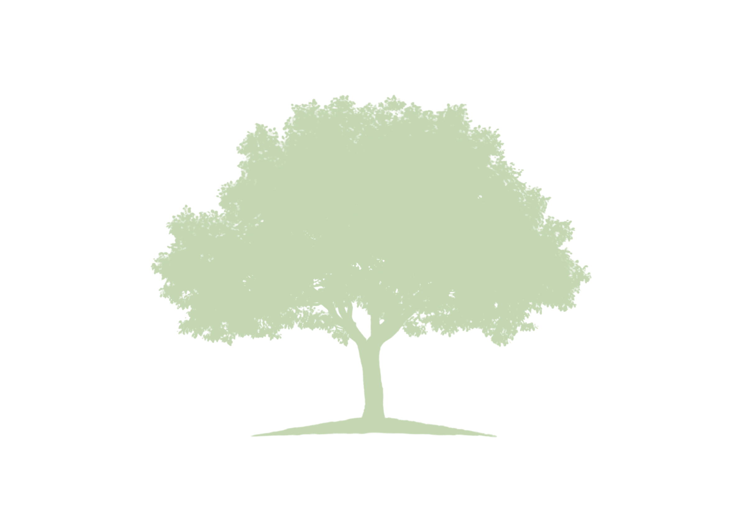 tree bg