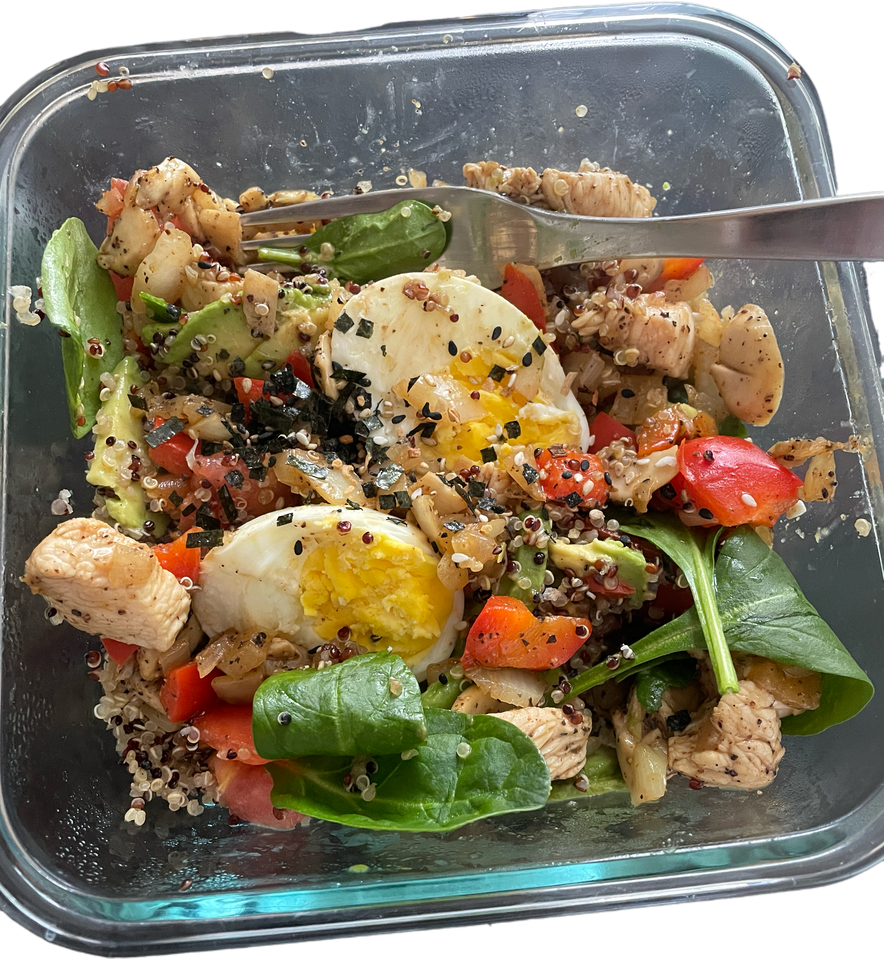 Protein Vitamin Dietary Fibre Bomb