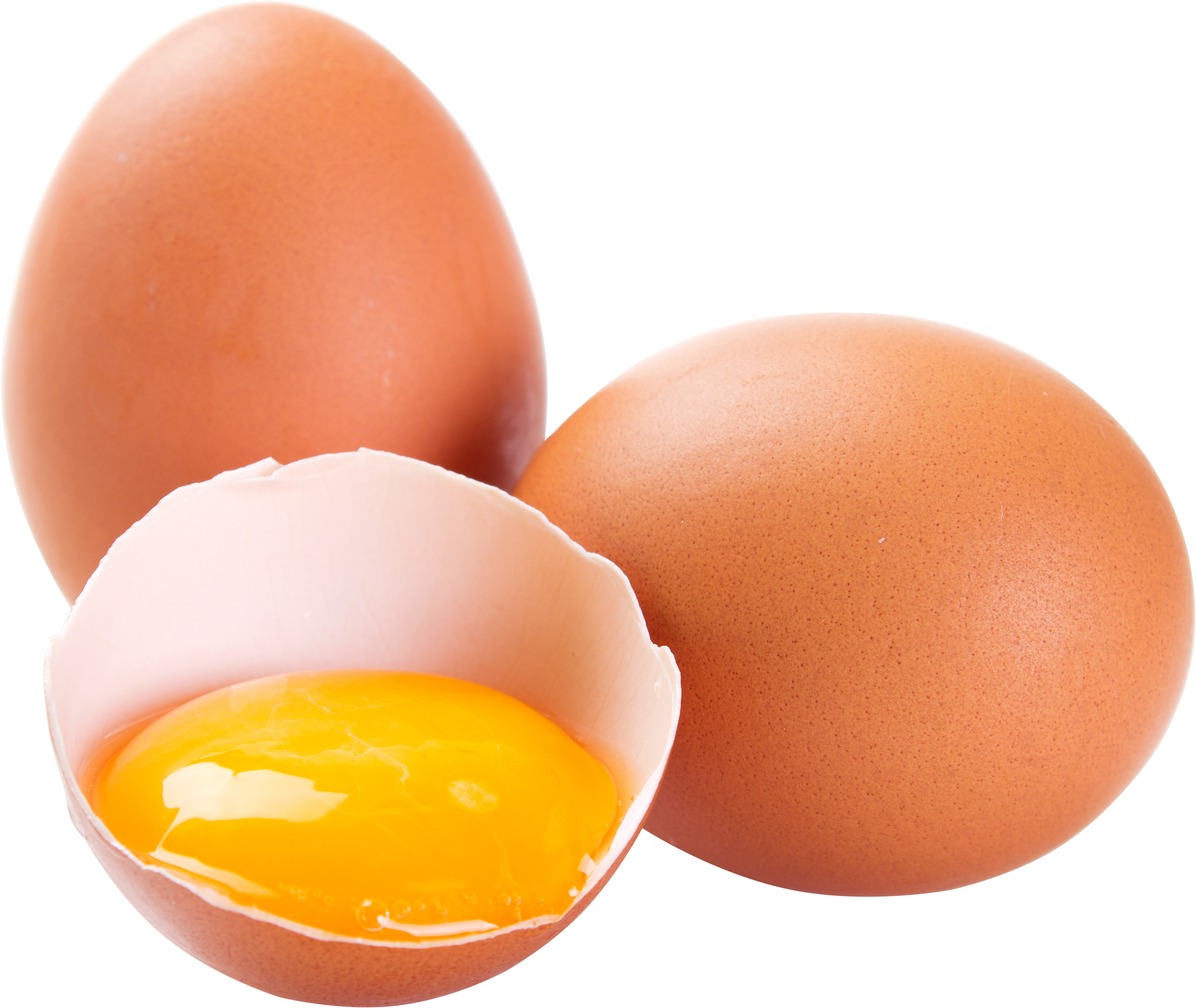 Egg