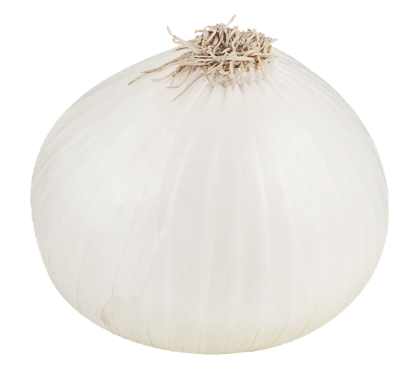 White Onion